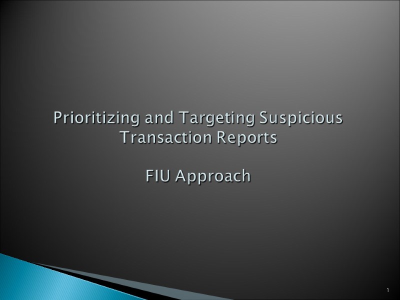 Prioritizing and Targeting Suspicious Transaction Reports  FIU Approach    1